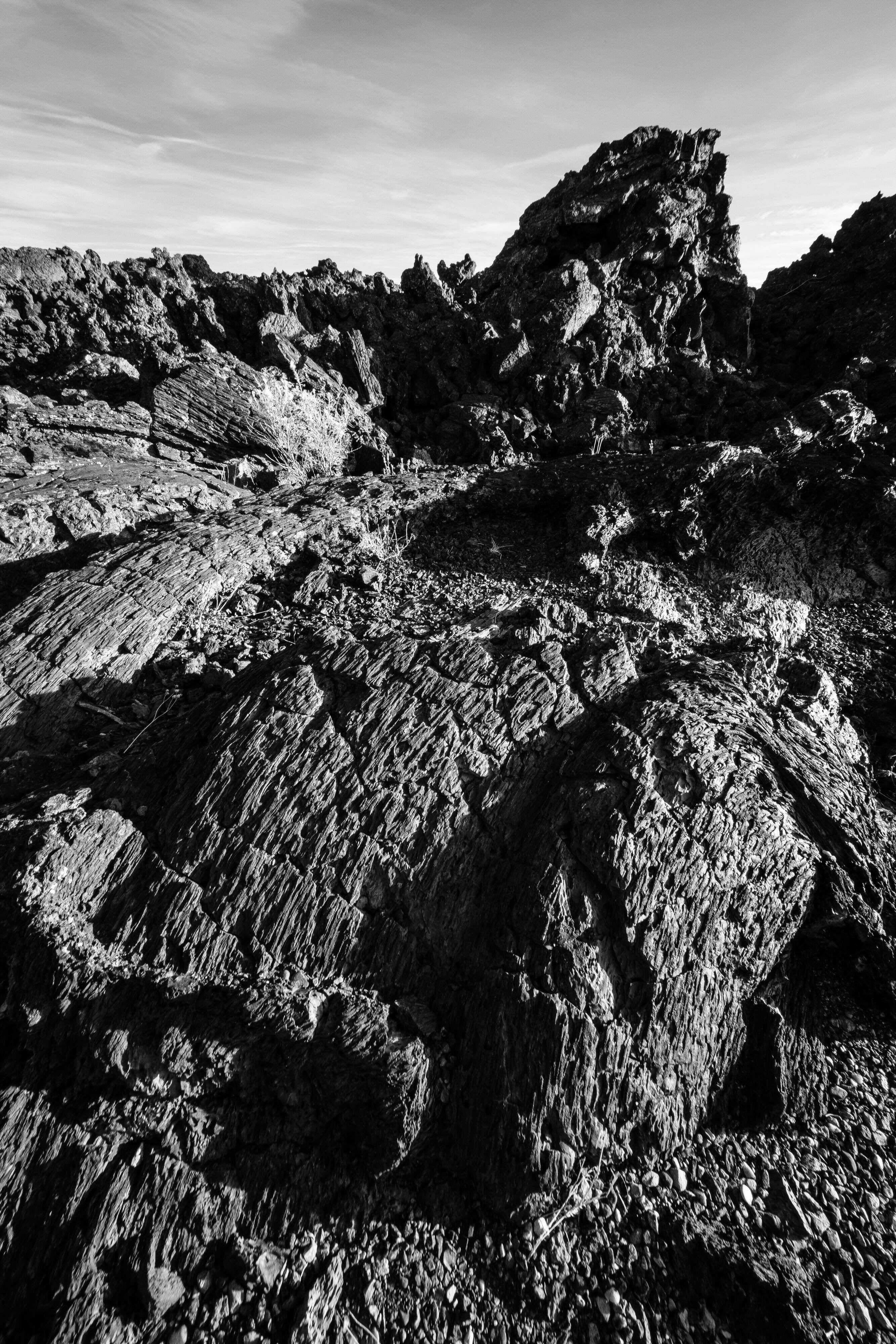 A field of ʻaʻa and pahoehoe lava with some shrubs.