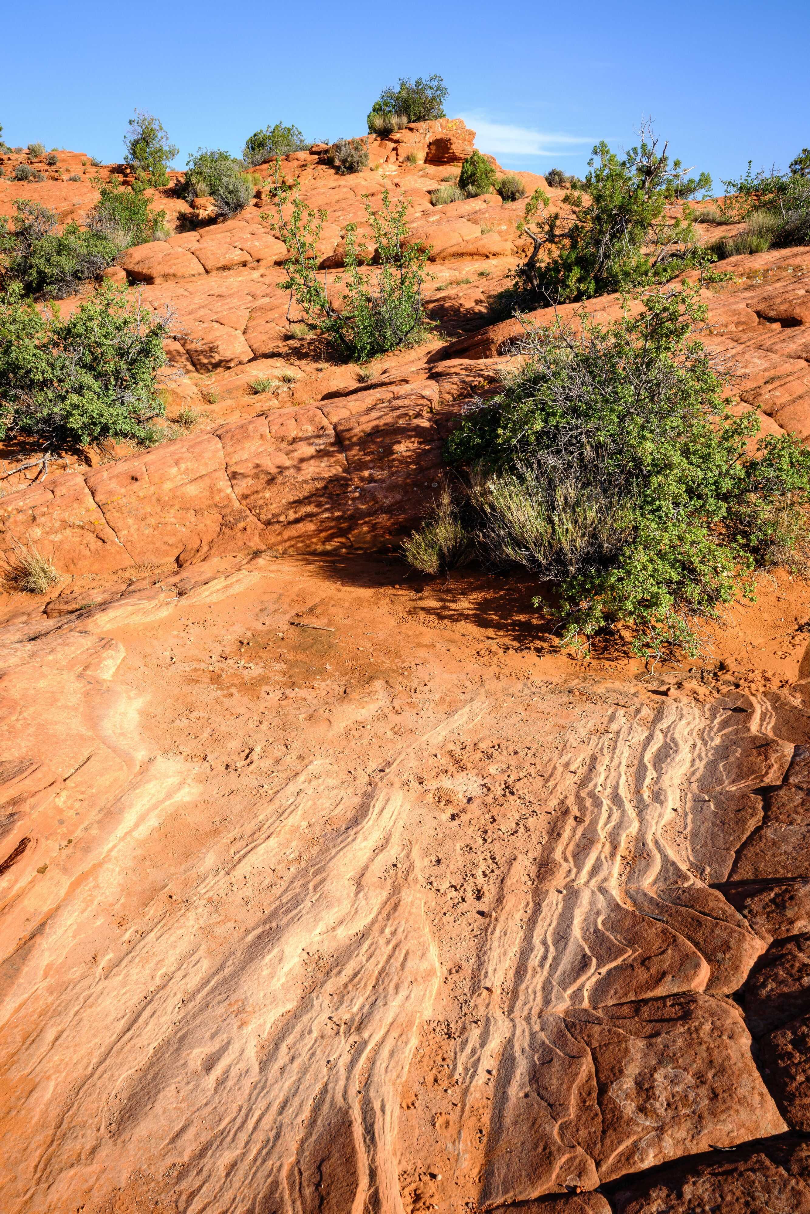 A landscape of red and orange sandstone with visible striations and patterns, scattered green shrubs, and blue sky in the background.