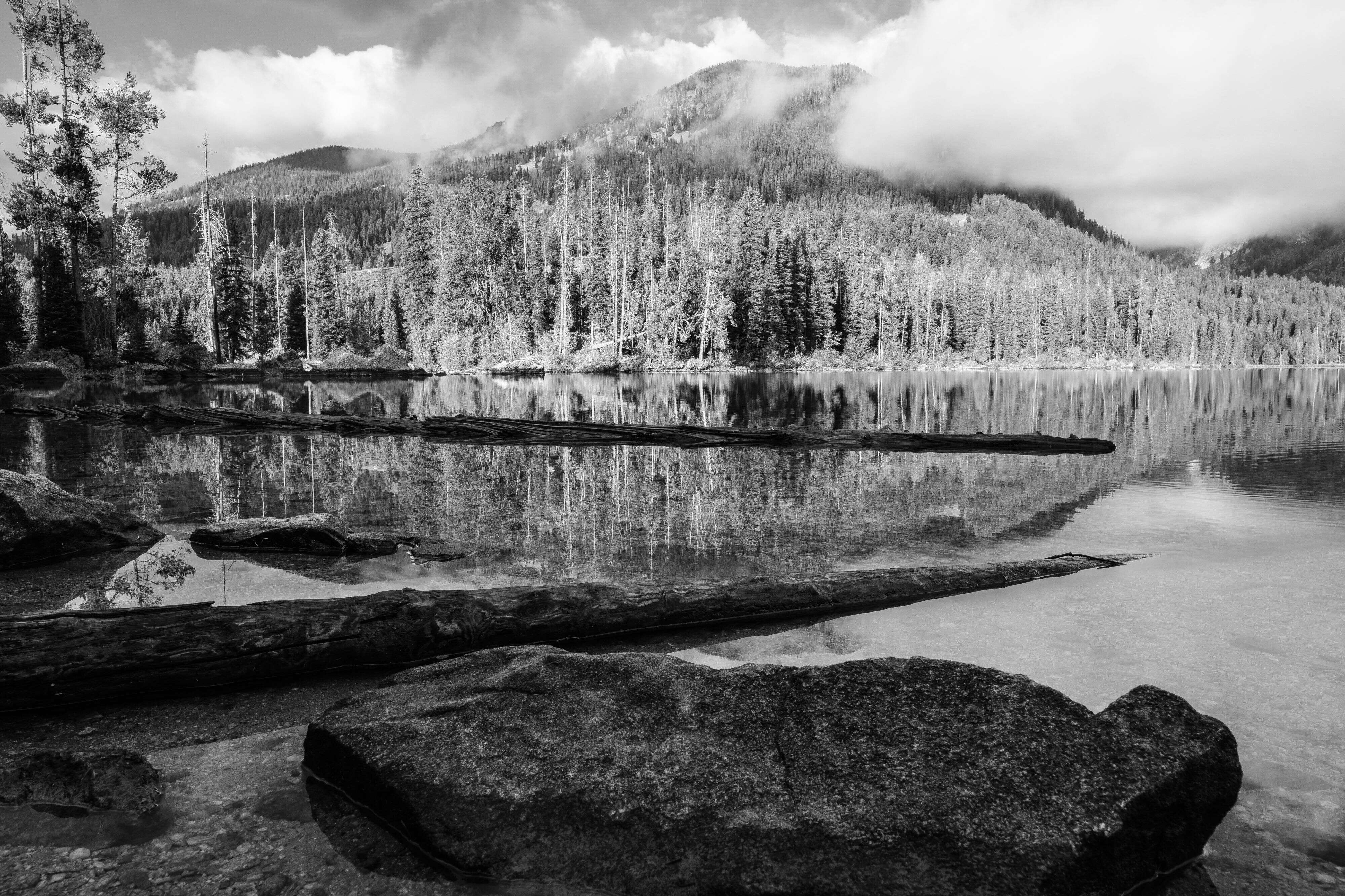 Boulders and logs near the shore of Taggart Lake.