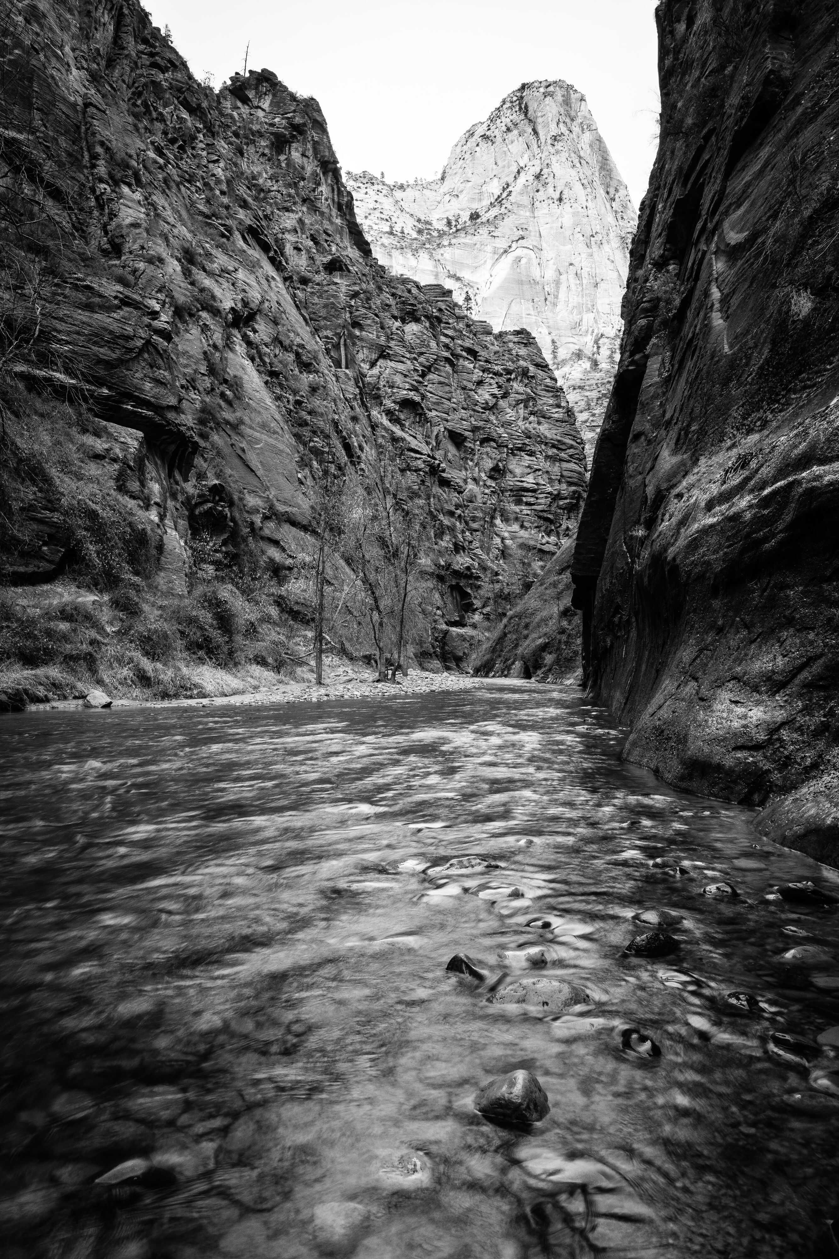 The beginning of the Narrows at the end of the Riverside Trail in the Temple of Sinawava.